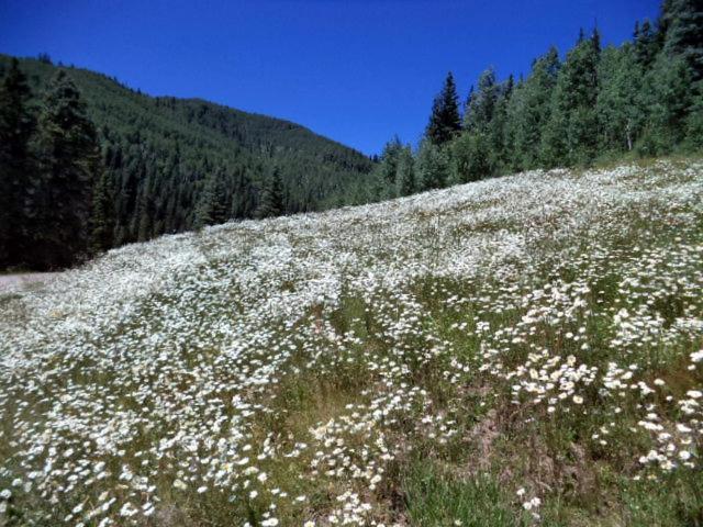 Cascade Village 301, Durango Co Dış mekan fotoğraf