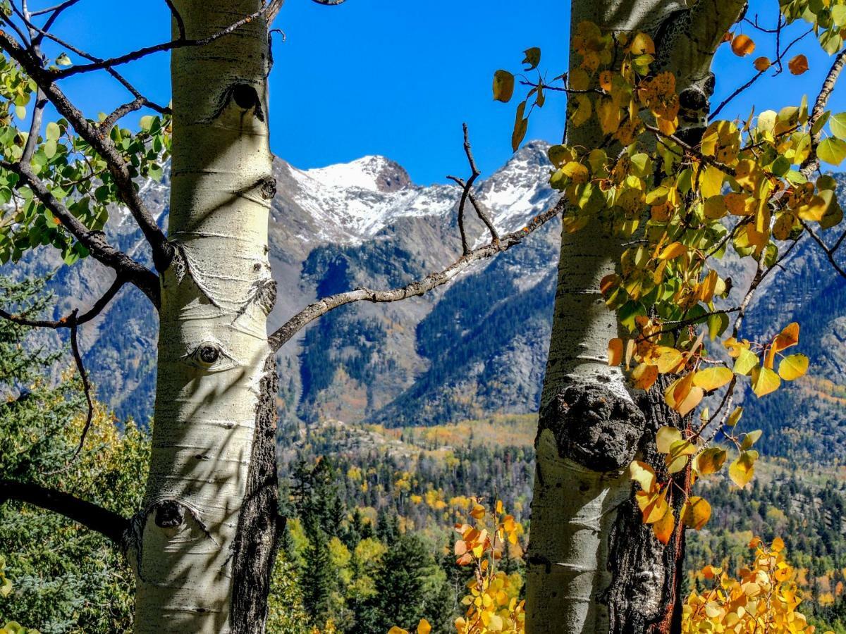 Cascade Village 301, Durango Co Dış mekan fotoğraf